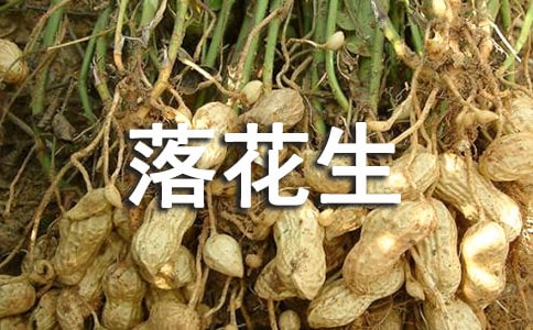 �����仨��˵�θ巶�ļ���ʮƪ