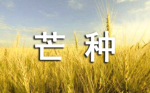 ����â�ֶ���̰�