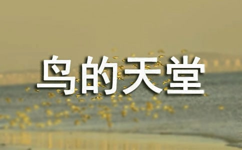 ���Ƽ���������ý̰���ƪ