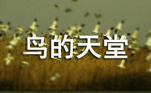 �˽̰桶������á��̰�