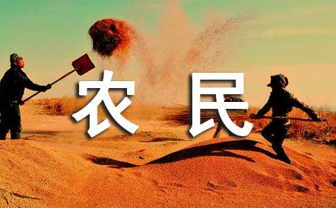 农民工劳动合同(集锦15篇)