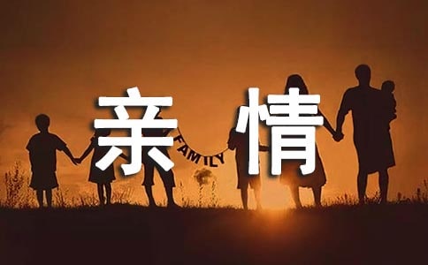 ���鹤���ҹ����ƻ�