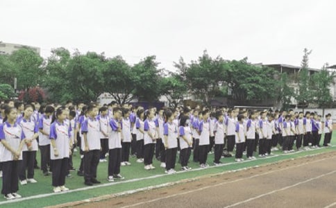 ���ɢѧ����У����������ܣ�15ƪ��