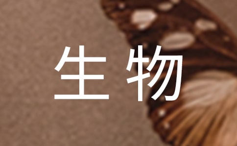����˵�θ�ģ��