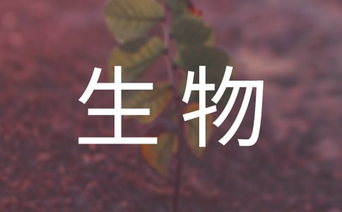 保护生物多样性演讲稿