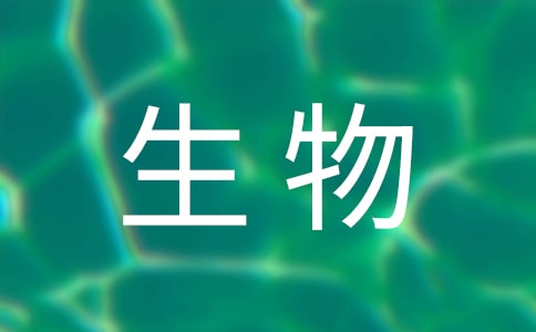����˵�θ�