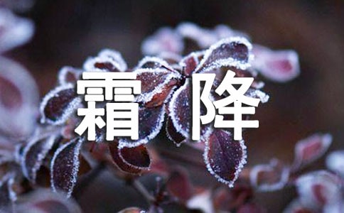 ˪�������̰�