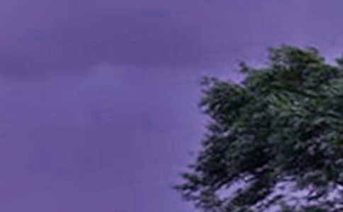 ̨���֪ͨ(15ƪ)