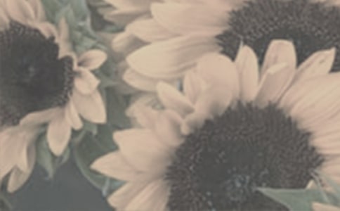 ��һƬ̫����˵�θ�