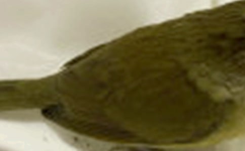 �а����Խ̰���������С��8ƪ