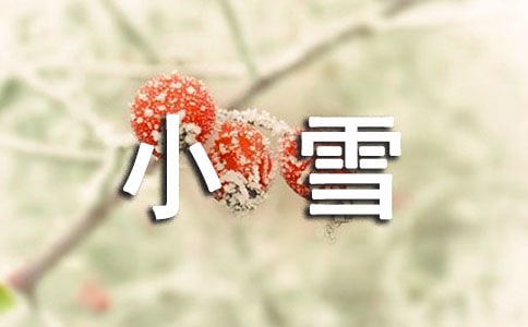 С��Сѩ���̰�����ѡ21ƪ��