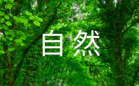自然环境教案