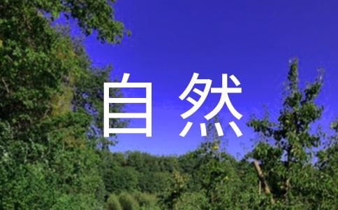 有关大自然的语言教案八篇