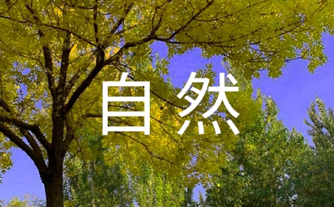 ������Ȼ֮��˵�θ���ƪ