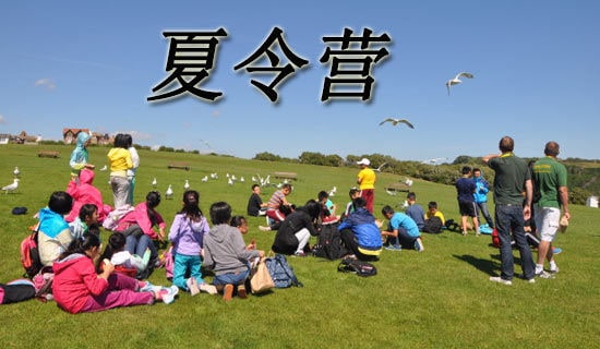 ����Ӫ��ʦ���Ը�