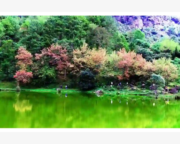 冷却塔系统运行核心与日常养护要点_B2B贷款平台到底是个啥玩意儿
