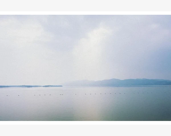 深挖平台评价与用户反馈的真实性_临沂B2B平台赋能中小企业电商升级路径